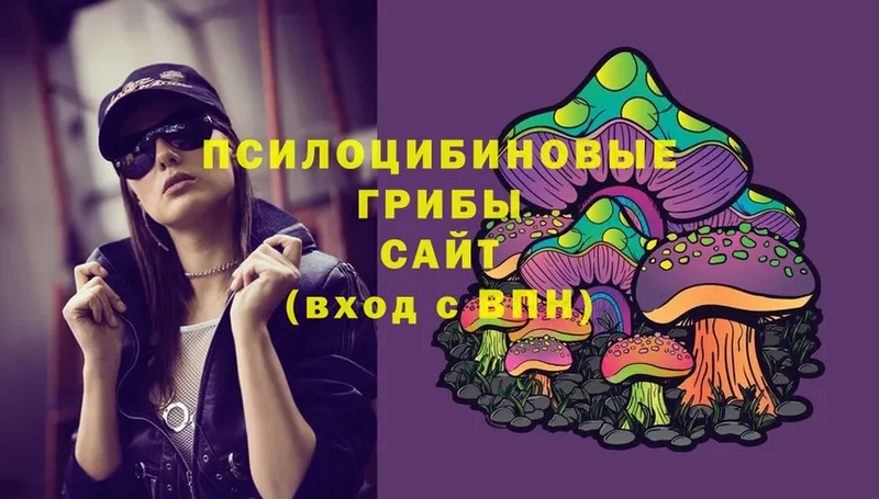 Галлюциногенные грибы MAGIC MUSHROOMS  купить закладку  Мыски 